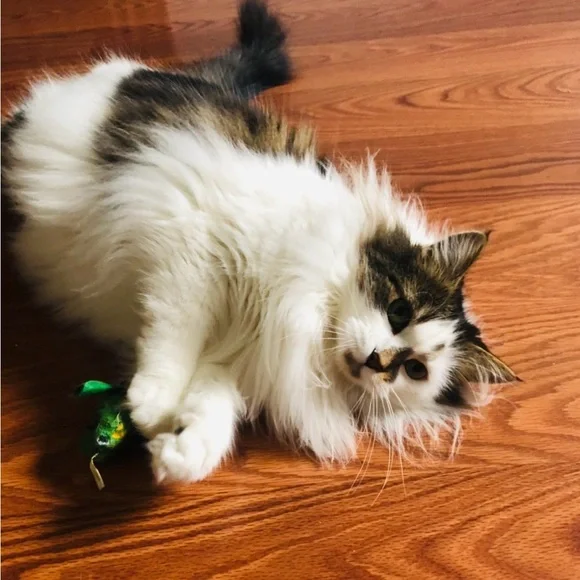 LIKE TO BE NOTIFIED 💟 I’M LIVE 💟 - Picture 12 of 13